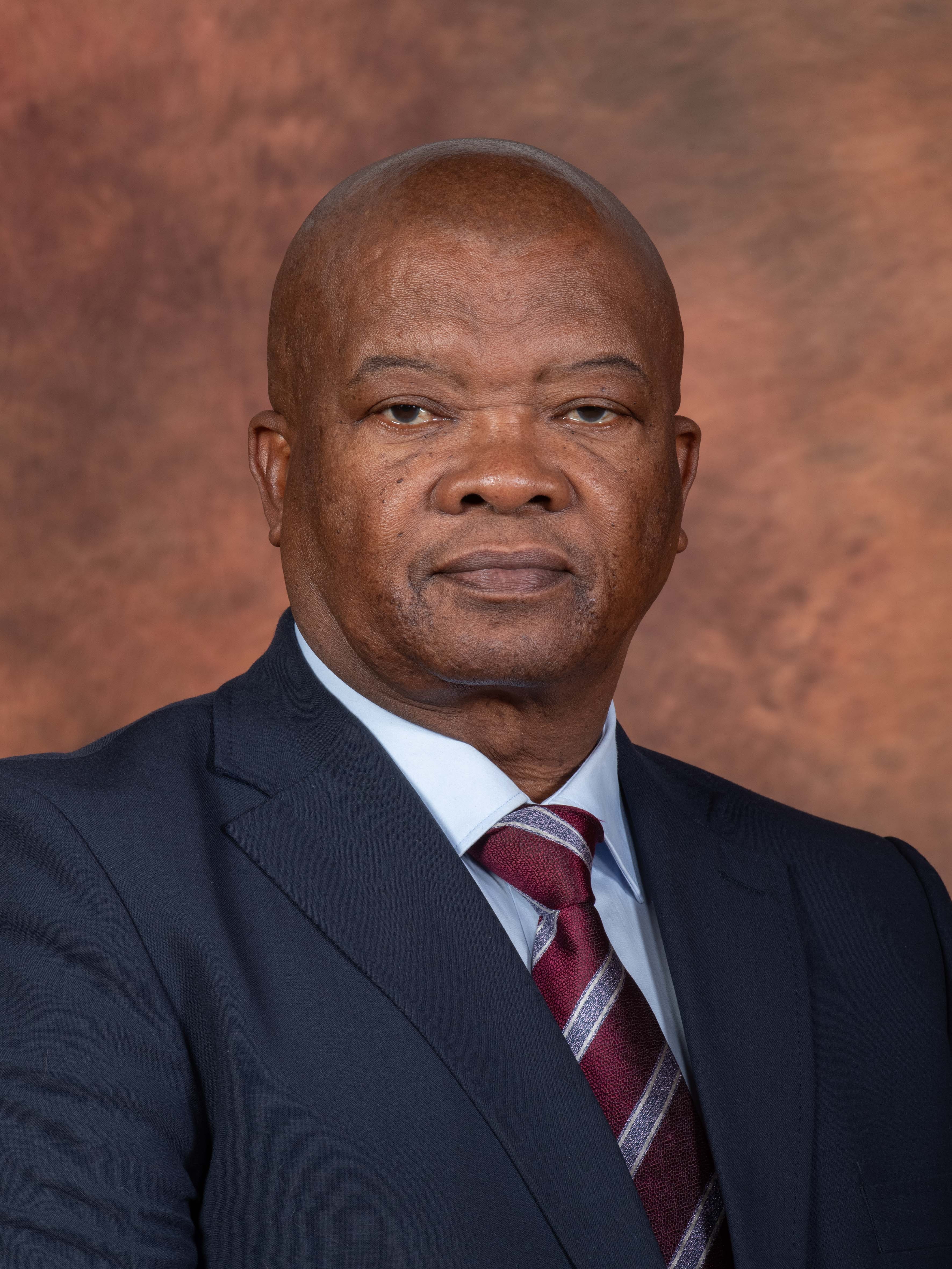 Deputy Minister Bantubonke Harrington Holomisa